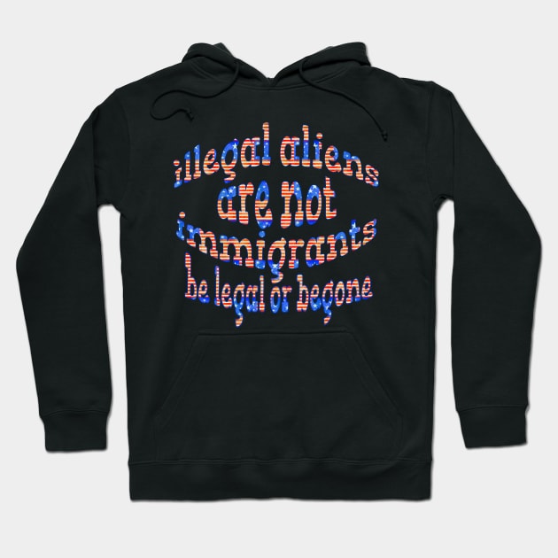 ILLEGAL ALIENS ARE NOT IMMIGRATS BE LEGAL OF BEGONE Hoodie by Roly Poly Roundabout